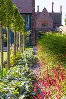 Long herbaceous borders along an old garden wall  designed by Louise Harrison-Holland. Plants include pleached Pyrus calleryana 'Chanticleer', Japanese anemones, Stachys, Persicaria, Ophiopogon planiscapus 'Nigrescens' and Miscanthus sinensis 'Kleine Fontaine.