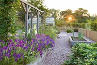 A greenhouse and raised beds for fruit, vegetables and cut flowers in a modern Cheshire country garden. It was designed by Louise Harrison-Holland. Plants include Salvia viridis and Antirrhinums.