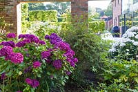 A view from a renovated herbaceous border and shrubbery, designed by Louise Harrison-Holland. Planting includes Hydrangea macrophylla and Japanese anemones
