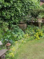 A large terracotta urn provides a focal point in corner of border