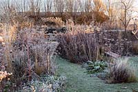 Winter borders with alliums and grasses