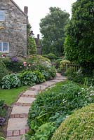 View up the garden path, with clipped Box, Astrantia, Hemerocallis and foliage of Hellebores and Brunnera 'Jack Frost'