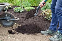 Adding soil improver as a top dressing to flower bed