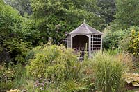 Chamaecyparis pisifera 'Sungold' with Verbena bonariensis in front of hexagonal wooden summerhouse - August, Cheshire