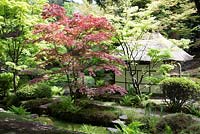 The tea house in the Japanese garden, Tatton Park, Cheshire