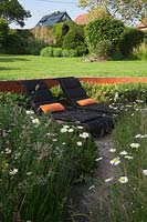 Modern rattan sun loungers on oak decking surrounded by meadow borders with Ox Eye Daisies, Pinus mugo hedge in front of rusted Corten steel walls. Behind, lawn, topiary shrubs and greenhouse.