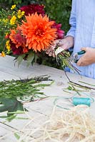 Woman cutting stems and tying a bouquet from flowers picked in the garden. Dahlia 'Mrs Eileen', 'Babylon Red', 'Mingus Alex', Helenium and Crocosmia