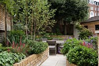 Late Summer garden with raised beds including birch tree