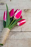 Tulipa 'Armani' and Tulipa 'Dynasty' wrapped in hessian ribbon