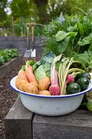 Home grown harvested vegetables including, Potatoes, Carrots, Beetroot, Courgettes and Cauliflower