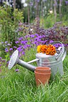 Watering can with summer flowers