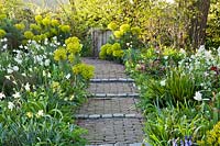 A colourful spring display of tulips, daffodils,   Mediterranean spurge, alliums, helleborus, forget me nots. Design: Thea Maldegem