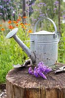 Watering can on tree stump with Verbena flowers