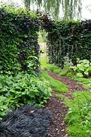 Shady garden with chamomile groundcover and bark chip path leading to arch in hedge with metal gate