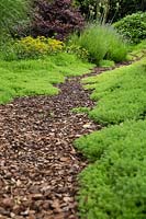 Shady garden with chamomile groundcover and bark chip path