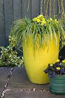 Yellow Spring container filled with Carex and Yellow Primulas and small container with Ficaria verna 'Brazen Hussy'