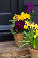 Spring arrangement on steps with Hyacinthus, Primulas, Violas and minature Daffodils