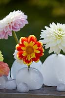 Ice vases with dahlias