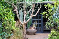 Office in back garden with log basket and olive tree. Hackney garden London