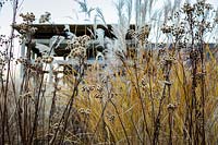 Grasses and seedheads in the Courtyard Garden at Bury Court Gardens, Hampshire. Designed by Christopher Bradley-Hole.