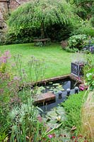 A lead covered water feature two tier pond with water lily foliage in a small low maintenance modern cottage garden. Planting includes Stipa tenuissima, Verbena hastata. Grass lawn leads to the weeping Birch - Betula pendula 'Youngii' with rustic wooden tree seat.