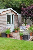 A small low maintenance modern cottage garden with part painted summerhouse. A collection of terracotta pots filled with Agapanthus, Lavandula - Lavender, Pelargoniums and Pennisetum.