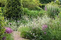 Scabiosa, Alliums, Delphinium with pathway through garden