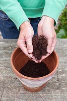 Man filling compost into terracotta pot