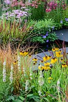 Colourful borders with Helenium 'Moerheim Beauty', Penstemon 'Garnet' and Imperata cylindrica 'Rubra' - Colour Box garden - RHS Hampton Court Palace Flower Show 2017 - Designers: Charlie Bloom and Simon Webster.