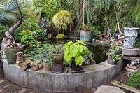 Pond area, with raised concrete retaining walls, and various grasses, palms and trees overhanging. Sculptor and ceramicist Marcia Donahue's garden in Berkeley, California.