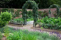 Half standard Bay tree, Mint and Chives in walled herb garden with Lavandula 'Imperial Gem' and Step-over apple - 'Orleans Reinette'   edging beds. Apples trained over steel arches and carrots growing surrounded by mesh against carrot fly.