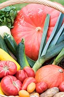 Harvest of various vegetables in an organic kitchen garden, France, summer