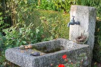Backed by a clipped hedge, a granite water basin and vertical stone with tap