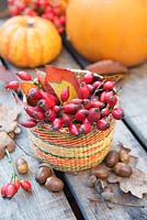 Rosehips in a small basket, with autumn leaves, acorns and pumpkin