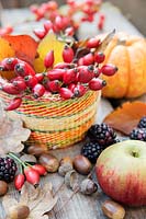 Rosehips in a small basket, with autumn leaves, blackberries, pumpkin, apples and acorns 