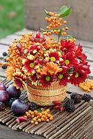 Autumnal display in a basket with Chrysanthemums in reds, yellows and oranges, rosehips, orange Pyracantha berries, plums and blackberries