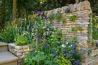 Dry stone walls planted with ferns, violas and ivy-leaved n in The Poetry Lover's Garden - RHS Chelsea Flower Show 2017 