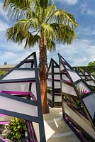 The Bermuda Triangle Garden - A tall palm tree Washingtonia robusta - RHS Chelsea Flower Show 2017 