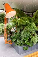 City Living - Orange Anglepoise lamp and  ferns on ground floor of urban apartment block garden with Dicksonia antarctica - RHS Chelsea Flower Show 2017 