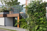 City Living - Contemporary apartment style garden with steps leading to balcony with glass panels, green wall with Melianthus major, Tetrapanax papyrifer and Fatsia japonica with Dicksonia antarctica under steps - RHS Chelsea Flower Show 2017