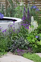 The Wellbeing of Women Garden - Small pond, planting of Salvia nemorosa 'Caradonna', Pennisetum orientale 'Tall Tails', Agapanthus africanus 'Midnight Star', 'Verbena rigida - RHS Hampton Court Flower Show 2015