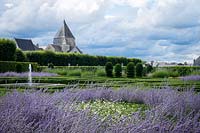 Perovskia or purple Russian Sage - Chateau Villandry, Loire Valley, France