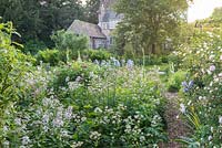 View of garden with irises, sweet rocket, astrantias, foxgloves and roses - The Manor, Hemingford Grey