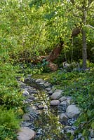 Shallow stream in woodland garden with edging of rocks and pebbles planted with Hostas - The Zoflora and Caudwell Children's Wild Garden. RHS Hampton Court Flower Show, 2017. Designers: Adam White and Andree Davies