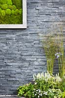 Modern black slate stone wall with living picture made with moss and summer border with white sages Salvia sylvestris 'Schneehugel' and Molinia grass. Contemporary Bee and Butterfly Garden -BBC Gardeners World Live Flower Show 2017