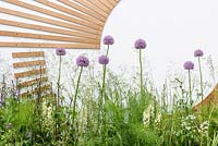 Allium and Anthriscus sylvestris surround a slatted recliner - Spa Garden - Molecular Garden, RHS Malvern Spring Festival 2017 