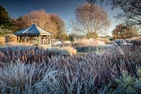 Grasses and perennials including Astilbe chinensis var. taqetii 'purpurlanze' and Molinia caerulea 'edith dudszus' The Milennium Garden at Pensthorpe in Norfolk in Winter designed by Piet Oudolf.