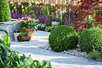 Flowerbeds and Buxus balls under Acer -BBC Gardener's World Live, Birmingham 2017 -Tesco 'Every Little Helps'  Garden designed by Owen Morgan, Mosaic Gardens