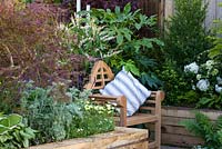 Decorative wooden bench with cushions, surrounded by planting of Fatsia japonica, Buxus, Acer and Hydrangea  -BBC Gardener's World Live, Birmingham 2017 -The Anniversary Garden: A Brief History of Modern Gardens - Designer: Prof. David Stevens