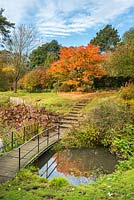 Benington Lordship Gardens in autumn with Acer palmatum, stone steps and bridge over part of lake.
